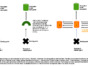 Figure 1_PE Activity.pdf