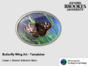 Butterfly Wing Art Templates.pdf