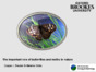 Part 2_Butterflies and moths in the food chain_Brookes branded_narrated.pdf