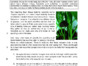 English Comprehension.pdf