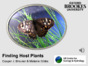 Finding Host Plants.pdf