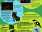 WildlifeFriendlyCoffee3.png