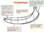 Mission Nutrition Stages Of Ripening Colouring Activity.pdf