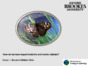 Part 3_How do humans impact butterfly and moth habitats_narrated.PPT.pdf