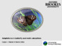 Part 4_Adaptations in butterfly and moth caterpillars_Brookes branded_narrated.pdf