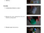 Make Your Own Planter.pdf