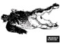 Colouring-sheet and draw your own croc!.pdf